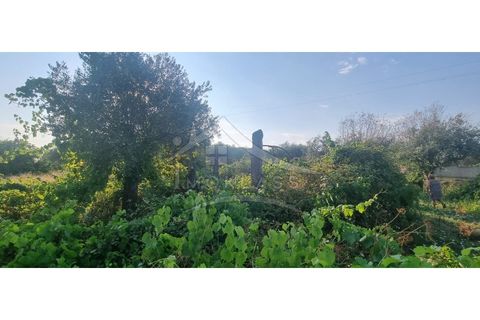Terra a Alcains, Castelo Branco, Alcains - € 30.000 | Ref: SÒL_158 - foto 27
