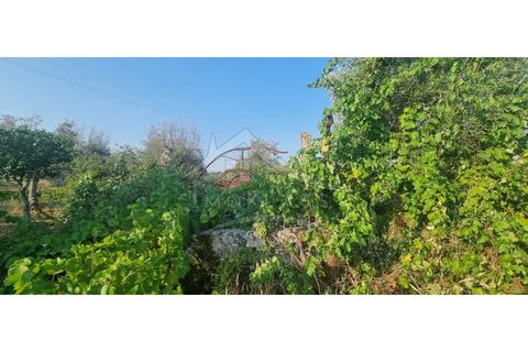 Terra a Alcains, Castelo Branco, Alcains - € 30.000 | Ref: SÒL_158 - foto 29