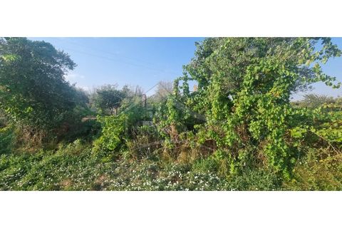 Terra a Alcains, Castelo Branco, Alcains - € 30.000 | Ref: SÒL_158 - foto 30
