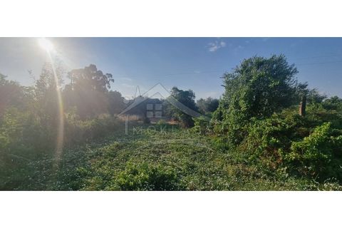 Terra a Alcains, Castelo Branco, Alcains - € 30.000 | Ref: SÒL_158 - foto 32