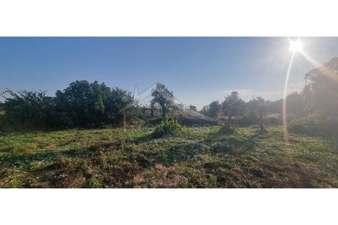 Terra a Alcains, Castelo Branco, Alcains - € 30.000 | Ref: SÒL_158 - foto 34