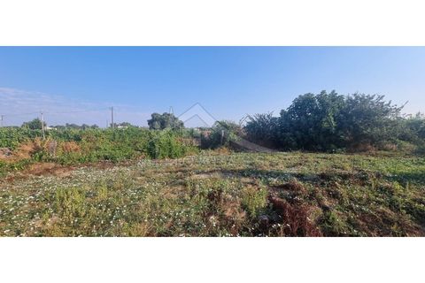 Terra a Alcains, Castelo Branco, Alcains - € 30.000 | Ref: SÒL_158 - foto 35