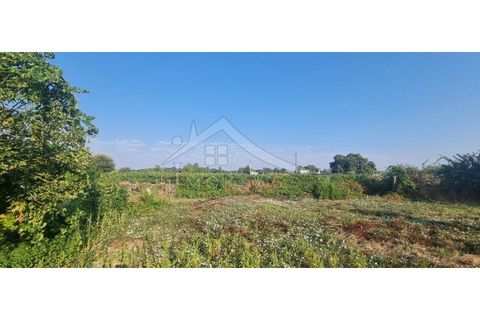 Terra a Alcains, Castelo Branco, Alcains - € 30.000 | Ref: SÒL_158 - foto 36