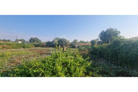 Terra a Alcains, Castelo Branco, Alcains - € 30.000 | Ref: SÒL_158 - foto 37