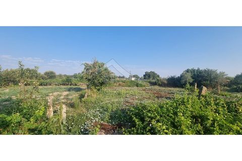 Terra a Alcains, Castelo Branco, Alcains - € 30.000 | Ref: SÒL_158 - foto 38
