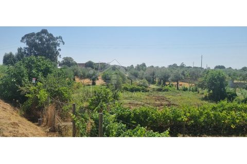 Terra a Alcains, Castelo Branco, Alcains - € 30.000 | Ref: SÒL_158 - foto 42
