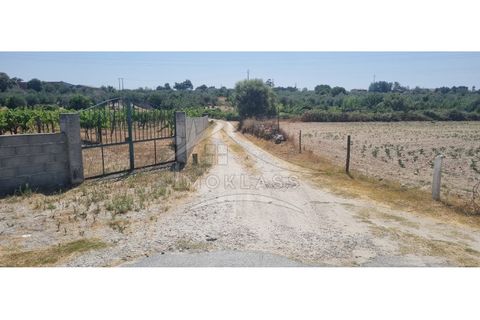 Terra a Alcains, Castelo Branco, Alcains - € 30.000 | Ref: SÒL_158 - foto 43