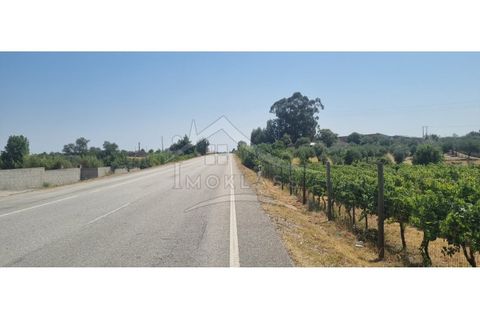 Terra a Alcains, Castelo Branco, Alcains - € 30.000 | Ref: SÒL_158 - foto 45