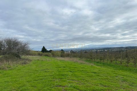 Helårsgrund i Obidos, Leiria, Obidos - € 120.000 | Ref: 0897-02073 - foto 1