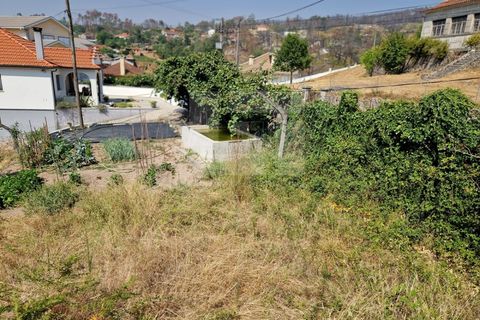 Villa i Pepim, Viseu, Pepim - € 62.000 | Ref: 99597 - foto 7