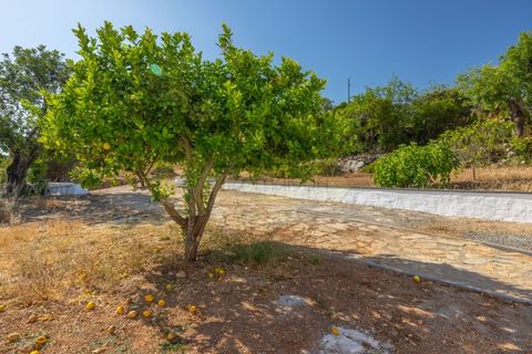 Villa i Tavira, Faro, Tavira - € 750.000 | Ref: M185C - foto 6