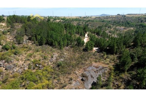 Helårsgrund i Castelo Branco, Castelo Branco, Castelo Branco - € 7.750 | Ref: 4915 - foto 4