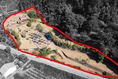 Farm i Cinfaes, Viseu, Cinfaes - € 450.000 | Ref: 1101981 - foto 1