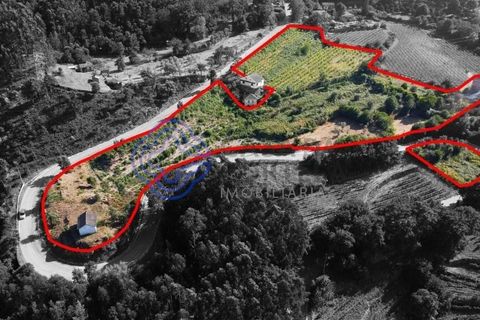 Farm i Cinfaes, Viseu, Cinfaes - € 450.000 | Ref: 1101981 - foto 2