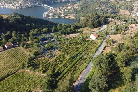 Farm i Cinfaes, Viseu, Cinfaes - € 450.000 | Ref: 1101981 - foto 6