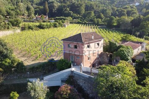 Farm i Cinfaes, Viseu, Cinfaes - € 450.000 | Ref: 1101981 - foto 7