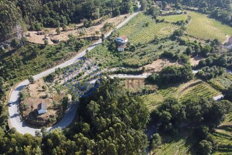 Farm i Cinfaes, Viseu, Cinfaes - € 450.000 | Ref: 1101981 - foto 16