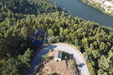 Farm i Cinfaes, Viseu, Cinfaes - € 450.000 | Ref: 1101981 - foto 17