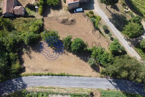 Farm i Cinfaes, Viseu, Cinfaes - € 450.000 | Ref: 1101981 - foto 18