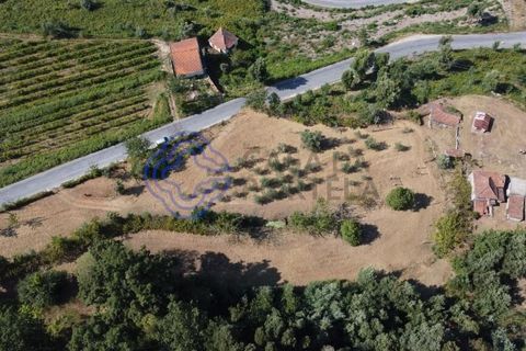 Farm i Cinfaes, Viseu, Cinfaes - € 450.000 | Ref: 1101981 - foto 19