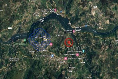 Farm i Cinfaes, Viseu, Cinfaes - € 450.000 | Ref: 1101981 - foto 20