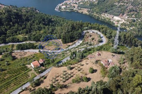 Farm i Cinfaes, Viseu, Cinfaes - € 450.000 | Ref: 1101981 - foto 21