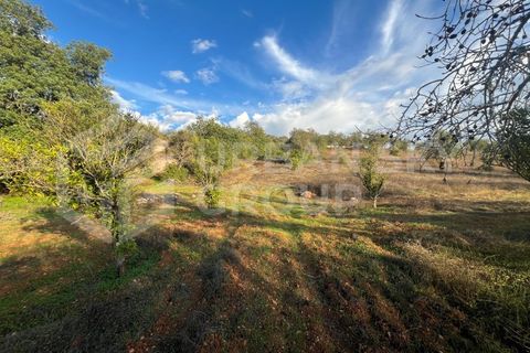 Villa a Paderne, Faro, Paderne - € 425.000 | Ref: USG054/2024 - foto 15