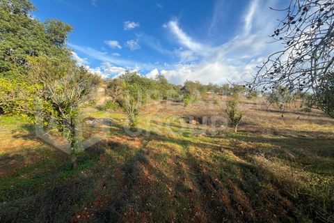 Villa a Paderne, Faro, Paderne - € 425.000 | Ref: USG054/2024 - foto 16