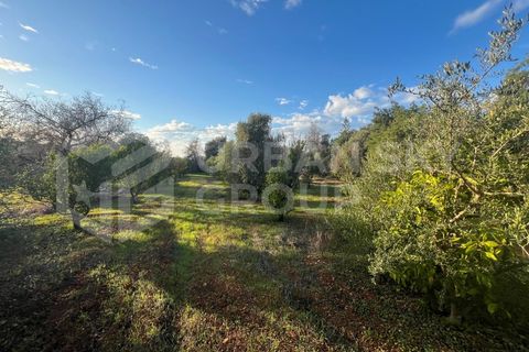 Villa a Paderne, Faro, Paderne - € 425.000 | Ref: USG054/2024 - foto 18