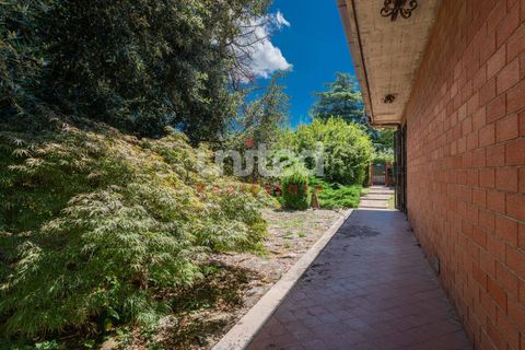 Villa a Frascati, Rome, Frascati - € 790.000 | Ref: 125 - foto 20