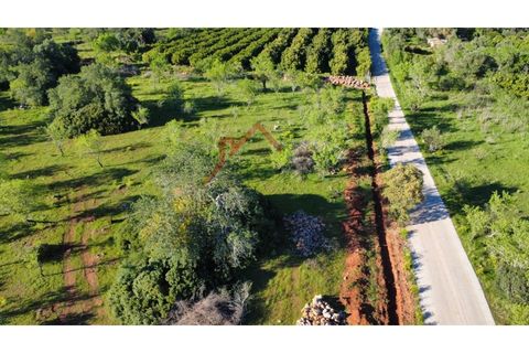 Helårsgrund i Paderne, Faro, Paderne - € 249.000 | Ref: SÒL_850 - foto 23