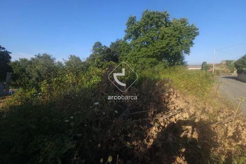 Helårsgrund i Valenca, Viana do Castelo, Valenca - € 29.500 | Ref: AV6452 - foto 4