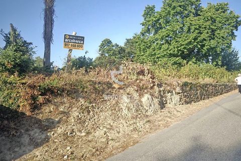 Helårsgrund i Valenca, Viana do Castelo, Valenca - € 29.500 | Ref: AV6452 - foto 3