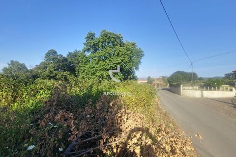 Helårsgrund i Valenca, Viana do Castelo, Valenca - € 29.500 | Ref: AV6452 - foto 12
