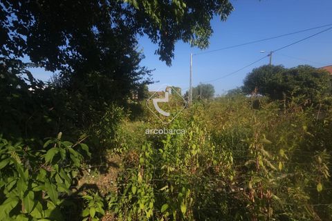 Helårsgrund i Valenca, Viana do Castelo, Valenca - € 29.500 | Ref: AV6452 - foto 14