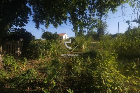 Helårsgrund i Valenca, Viana do Castelo, Valenca - € 29.500 | Ref: AV6452 - foto 15