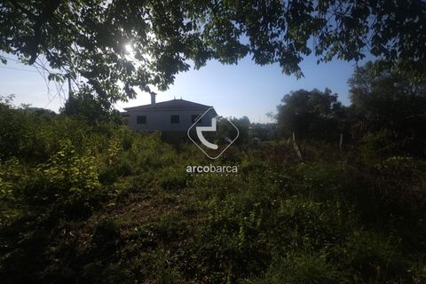 Helårsgrund i Valenca, Viana do Castelo, Valenca - € 29.500 | Ref: AV6452 - foto 17