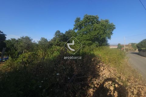 Helårsgrund i Valenca, Viana do Castelo, Valenca - € 29.500 | Ref: AV6452 - foto 19