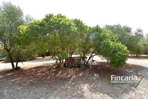 Landejendom i Manacor, Mallorca, Manacor - € 675.000 | Ref: FM-2043 - foto 20