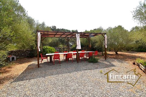Landejendom i Manacor, Mallorca, Manacor - € 675.000 | Ref: FM-2043 - foto 21