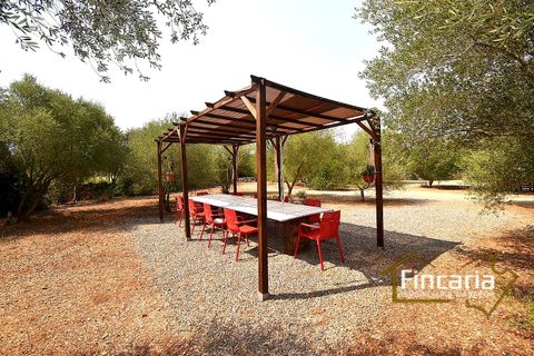 Landejendom i Manacor, Mallorca, Manacor - € 675.000 | Ref: FM-2043 - foto 22