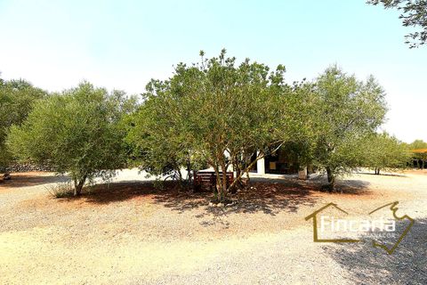 Landejendom i Manacor, Mallorca, Manacor - € 675.000 | Ref: FM-2043 - foto 23