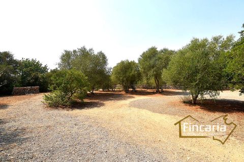Landejendom i Manacor, Mallorca, Manacor - € 675.000 | Ref: FM-2043 - foto 24