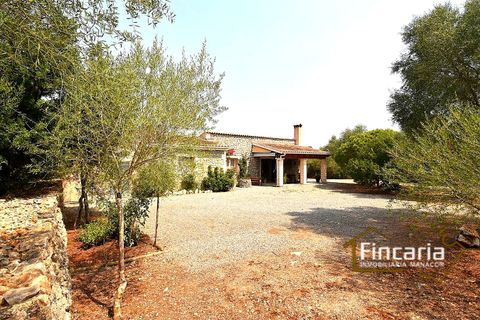 Landejendom i Manacor, Mallorca, Manacor - € 675.000 | Ref: FM-2043 - foto 25