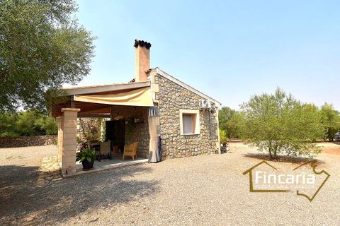 Landejendom i Manacor, Mallorca, Manacor - € 675.000 | Ref: FM-2043 - foto 26