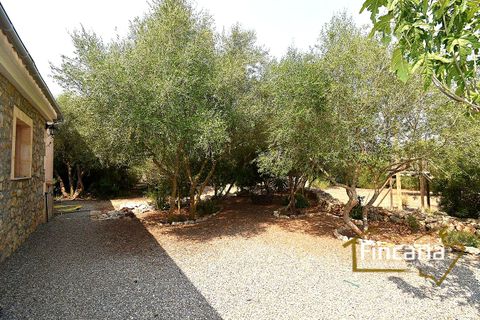 Landejendom i Manacor, Mallorca, Manacor - € 675.000 | Ref: FM-2043 - foto 27