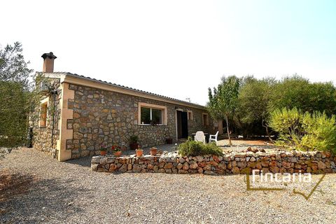 Landejendom i Manacor, Mallorca, Manacor - € 675.000 | Ref: FM-2043 - foto 28