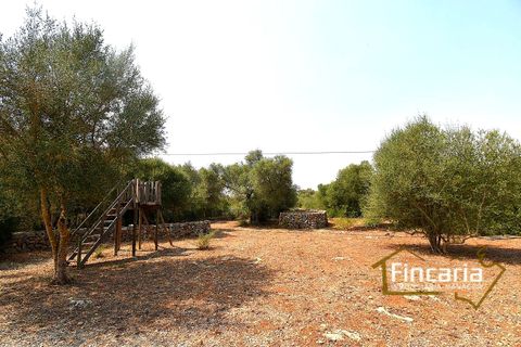 Landejendom i Manacor, Mallorca, Manacor - € 675.000 | Ref: FM-2043 - foto 30