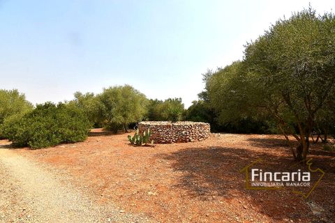 Landejendom i Manacor, Mallorca, Manacor - € 675.000 | Ref: FM-2043 - foto 31