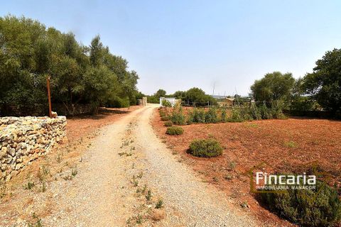 Landejendom i Manacor, Mallorca, Manacor - € 675.000 | Ref: FM-2043 - foto 34